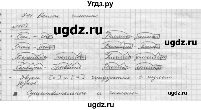 ГДЗ (Решебник) по русскому языку 5 класс Шмелев А.Д. / глава-3 / упражнение / 107