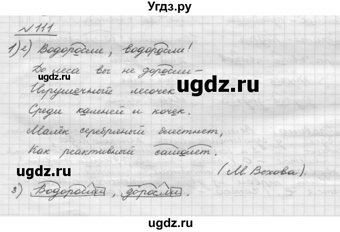 ГДЗ (Решебник) по русскому языку 5 класс Шмелев А.Д. / глава-3 / упражнение / 111
