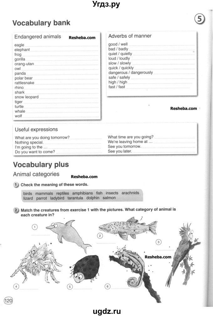 ГДЗ (Учебник) по английскому языку 6 класс (рабочая тетрадь) Ю.А. Комарова / страница номер / 120