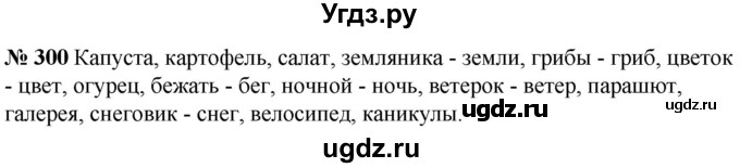 ГДЗ (Решебник к учебнику 2020) по русскому языку 5 класс Быстрова Е.А. / часть 1 / упражнение / 300