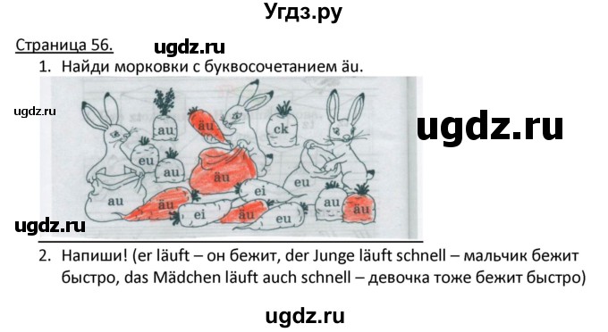 ГДЗ (Решебник) по немецкому языку 2 класс (рабочая тетрадь) Гальскова Н. Д. / часть 1. страница / 56