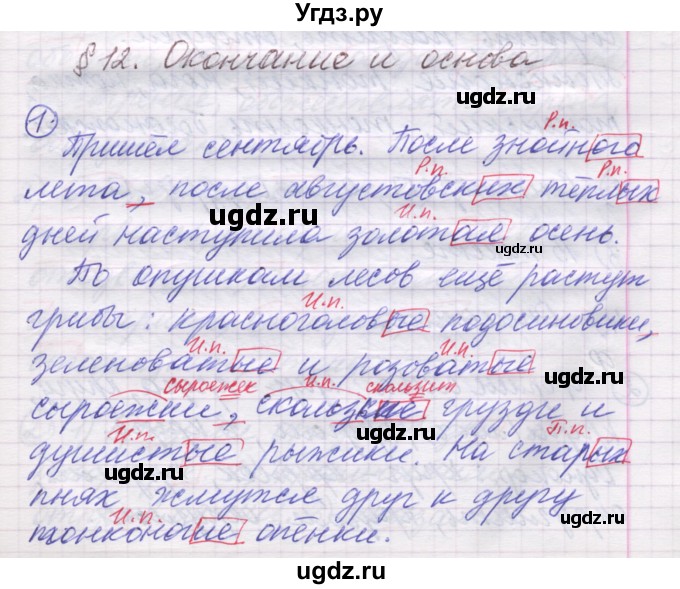 ГДЗ (Решебник) по русскому языку 5 класс (рабочая тетрадь) Рыбченкова Л.М. / § 12 / 1