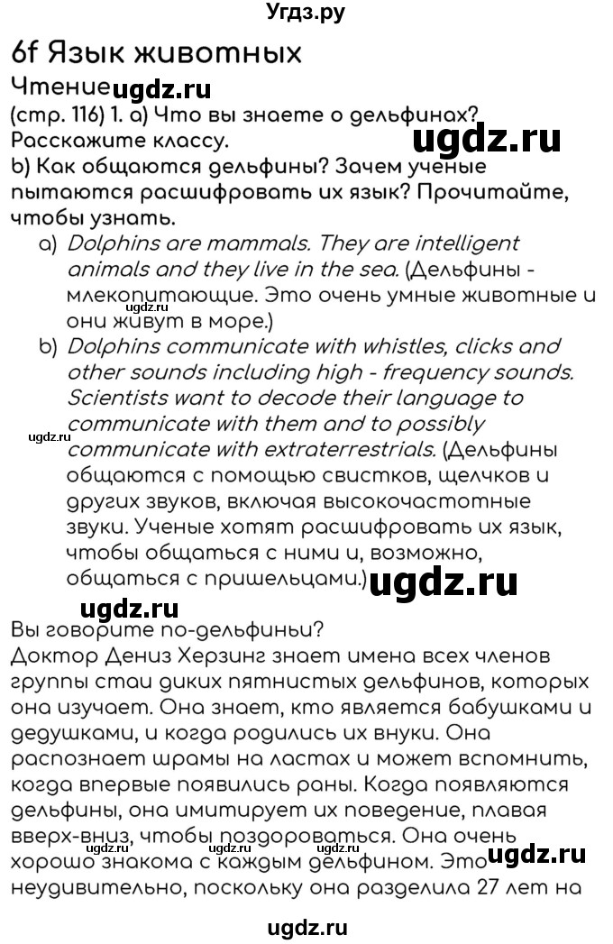 ГДЗ (Решебник к учебнику 2023) по английскому языку 8 класс (starlight ) Баранова К.М. / страница / 116