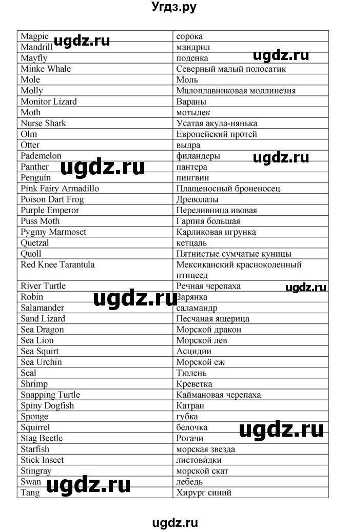 ГДЗ (Решебник) по английскому языку 11 класс (рабочая тетрадь Starlight) Баранова К.М. / страница / 49(продолжение 28)
