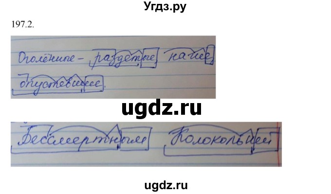 ГДЗ (Решебник к учебнику 2014) по русскому языку 9 класс Е.А. Быстрова / часть 1 / упражнение / 197 (197)(продолжение 2)