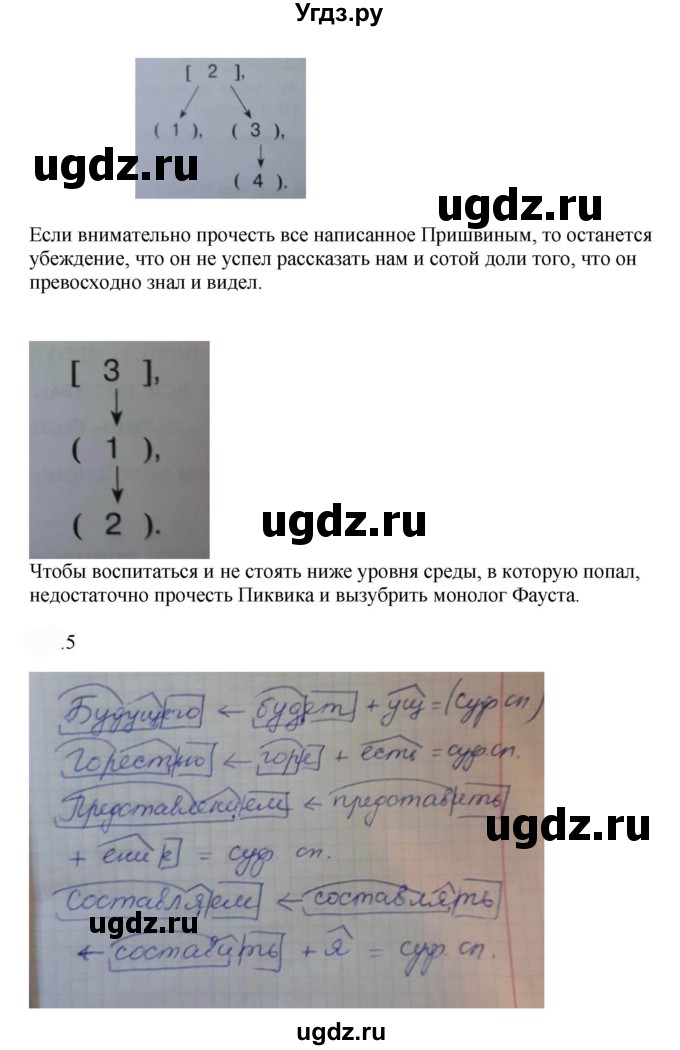 ГДЗ (Решебник к учебнику 2022) по русскому языку 9 класс Е.А. Быстрова / часть 1 / упражнение / 261 (261)(продолжение 3)