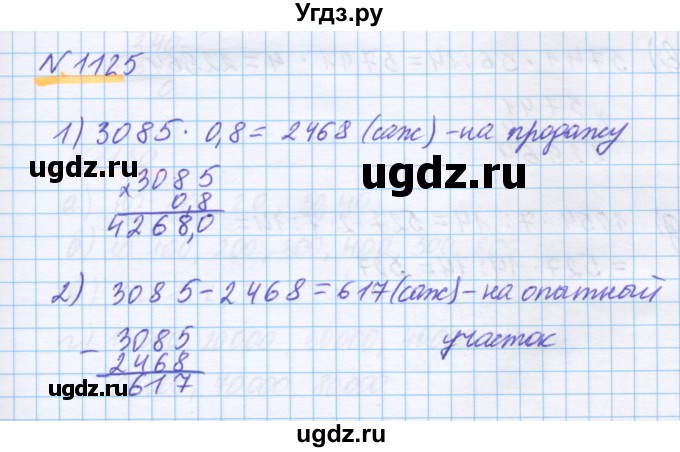 ГДЗ (Решебник) по математике 5 класс Истомина Н.Б. / упражнение номер / 1125