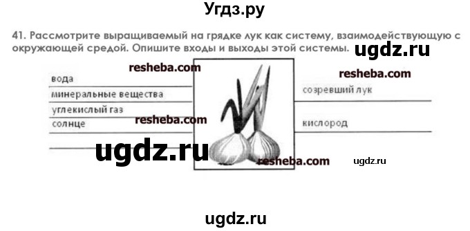 ГДЗ (решебник) по информатике 7 класс (икт рабочая тетрадь) Л.Л. Босова / глава 1 номер / 41