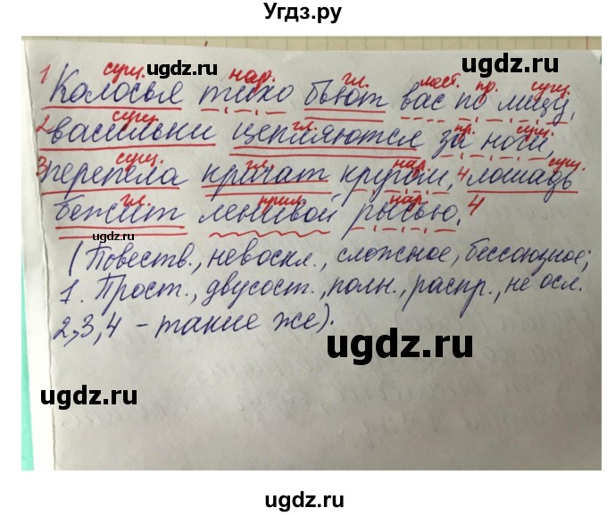 ГДЗ (Решебник к учебнику 2016) по русскому языку 7 класс Е.А. Быстрова / часть 1 / упражнение / 132 (132)(продолжение 3)