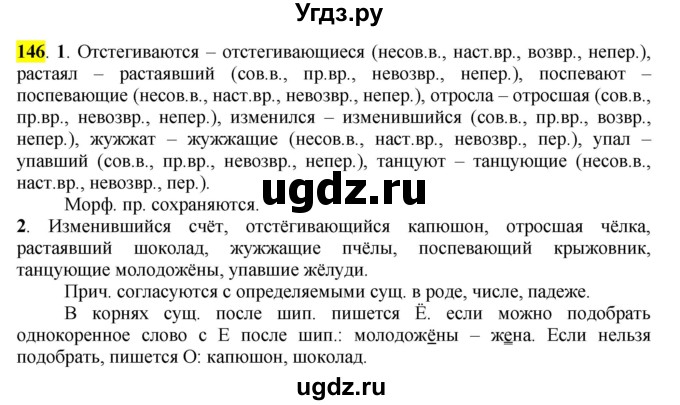 ГДЗ (Решебник к учебнику 2016) по русскому языку 7 класс Е.А. Быстрова / часть 1 / упражнение / 146 (146)