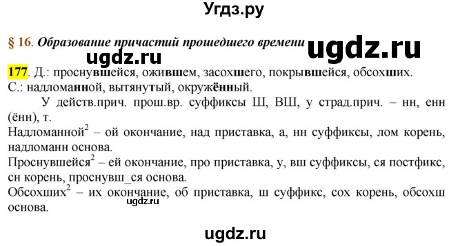 ГДЗ (Решебник к учебнику 2016) по русскому языку 7 класс Е.А. Быстрова / часть 1 / упражнение / 177 (177)