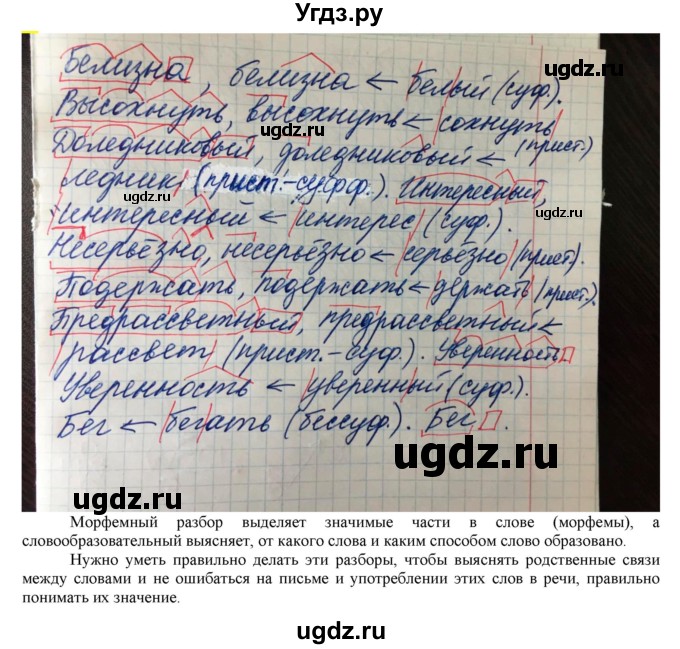 ГДЗ (Решебник к учебнику 2022) по русскому языку 7 класс Е.А. Быстрова / часть 1 / упражнение / 100 (100)