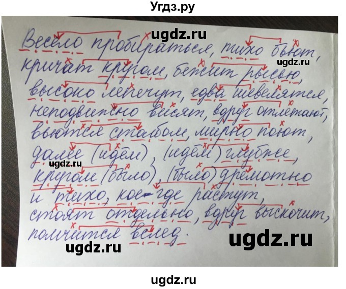 ГДЗ (Решебник к учебнику 2022) по русскому языку 7 класс Е.А. Быстрова / часть 1 / упражнение / 141 (141)(продолжение 2)