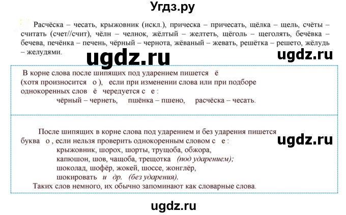 ГДЗ (Решебник к учебнику 2022) по русскому языку 7 класс Е.А. Быстрова / часть 1 / упражнение / 83 (83)