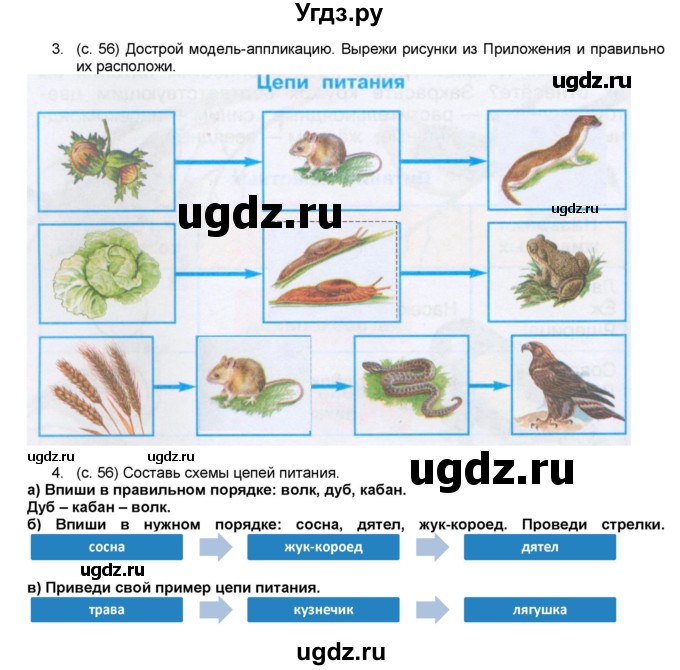 ГДЗ (Решебник №1) по окружающему миру 3 класс (рабочая тетрадь) А.А. Плешаков / часть 1. страница номер / 56