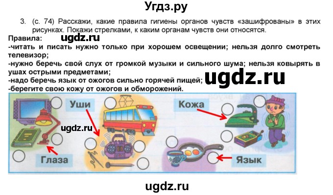 ГДЗ (Решебник №1) по окружающему миру 3 класс (рабочая тетрадь) А.А. Плешаков / часть 1. страница номер / 74(продолжение 2)