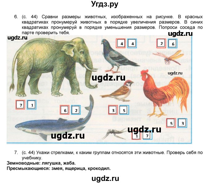 ГДЗ (Решебник №1) по окружающему миру 2 класс (рабочая тетрадь) А.А. Плешаков / часть 1. страница номер / 44