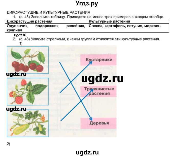 ГДЗ (Решебник №1) по окружающему миру 2 класс (рабочая тетрадь) А.А. Плешаков / часть 1. страница номер / 48