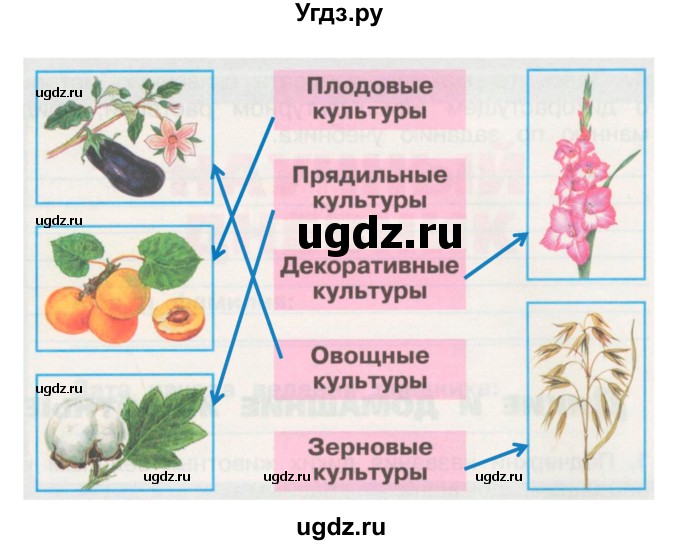 ГДЗ (Решебник №1) по окружающему миру 2 класс (рабочая тетрадь) А.А. Плешаков / часть 1. страница номер / 48(продолжение 2)