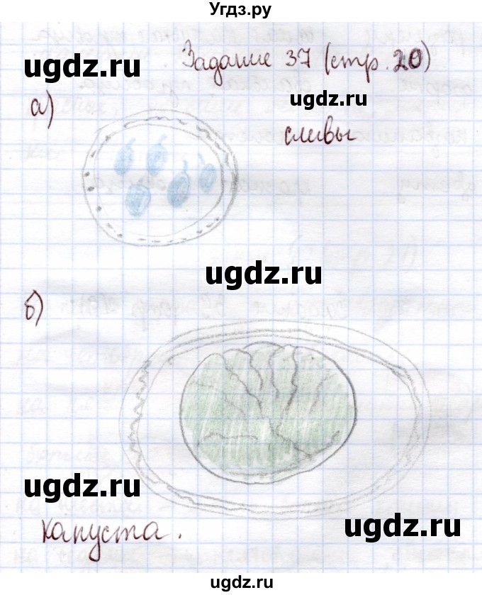 ГДЗ (Решебник) по информатике 1 класс Горячев А.В. / раздел 1 / задание / 37