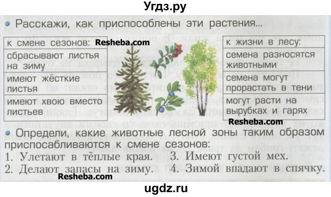 ГДЗ (Учебник) по окружающему миру 2 класс (Школа 2100) Вахрушев А.А. / часть 2. страница номер / 23