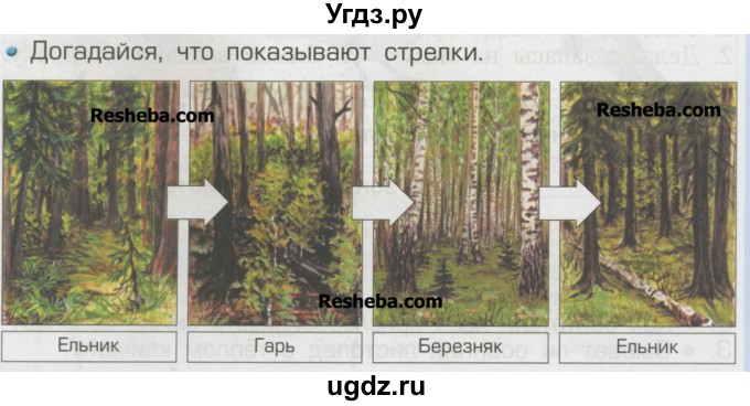 ГДЗ (Учебник) по окружающему миру 2 класс (Школа 2100) Вахрушев А.А. / часть 2. страница номер / 24