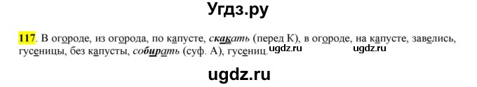 ГДЗ (Решебник к учебнику 2016) по русскому языку 6 класс Рыбченкова Л.М. / упражнение / 117