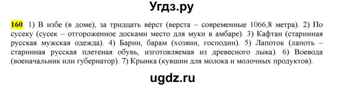 ГДЗ (Решебник к учебнику 2016) по русскому языку 6 класс Рыбченкова Л.М. / упражнение / 160