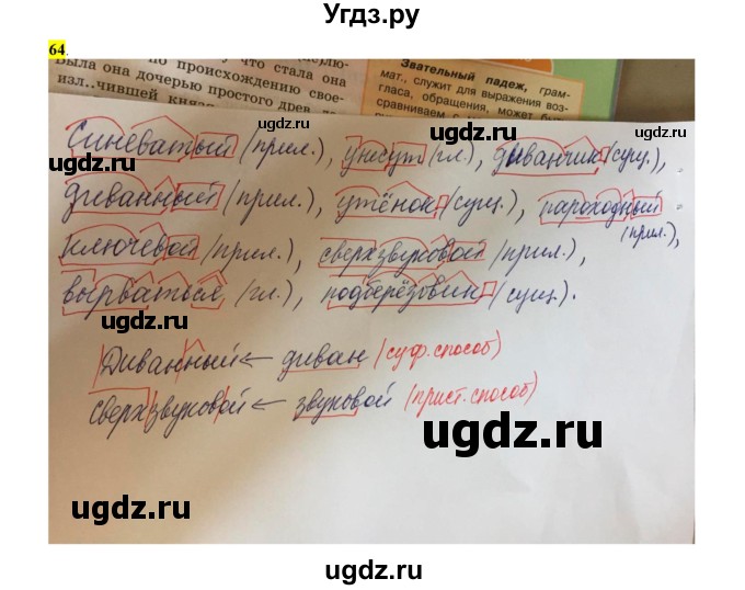 ГДЗ (Решебник к учебнику 2016) по русскому языку 6 класс Рыбченкова Л.М. / упражнение / 64