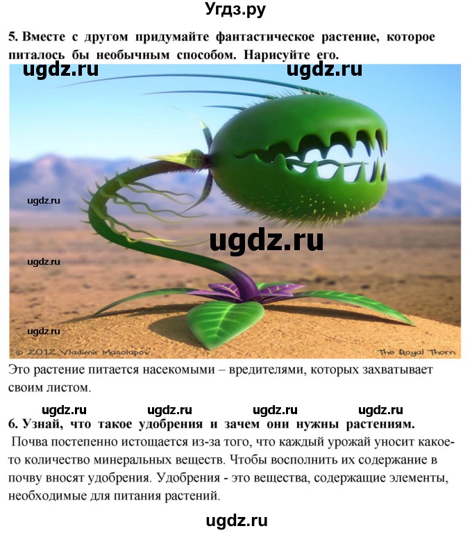 ГДЗ (Решебник ) по окружающему миру 3 класс Ивченкова Г.Г. / часть 1. страница / 91(продолжение 2)