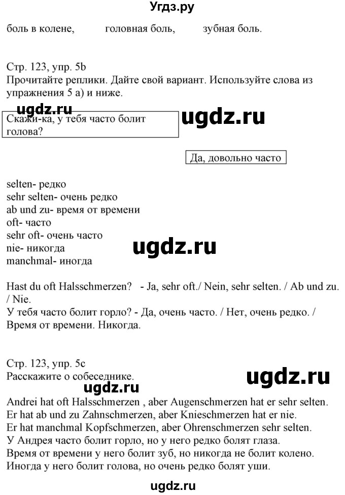 ГДЗ (Решебник к учебнику Wunderkinder Plus) по немецкому языку 7 класс Радченко О.А. / страница / 123(продолжение 2)