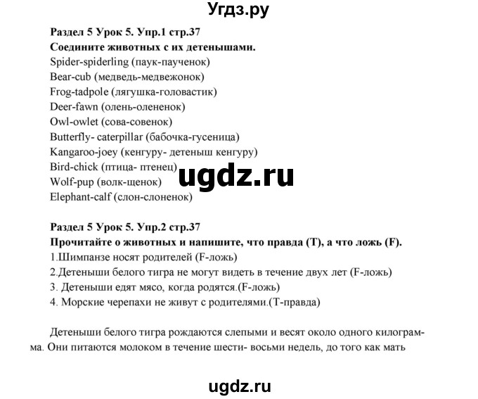 ГДЗ (Решебник) по английскому языку 5 класс (рабочая тетрадь New Millennium) Деревянко Н.Н. / страница номер / 37