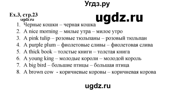 ГДЗ (Решебник) по английскому языку 3 класс (лексико-грамматический практикум rainbow ) Афанасьева О.В. / страница номер / 23