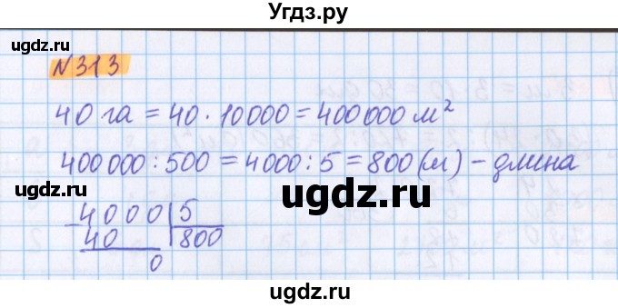 ГДЗ (Решебник №1 к учебнику 2017) по математике 5 класс Герасимов В.Д. / глава 3. упражнение / 313