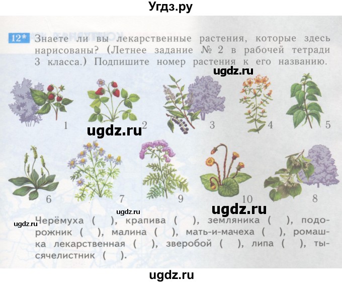 ГДЗ (Учебник) по окружающему миру 4 класс (рабочая тетрадь) Дмитриева Н.Я. / упражнение номер / 12