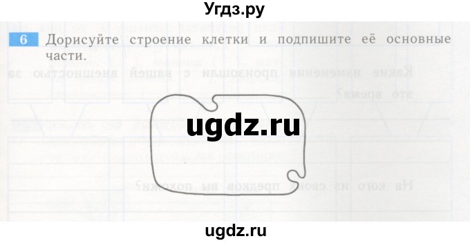 ГДЗ (Учебник) по окружающему миру 4 класс (рабочая тетрадь) Дмитриева Н.Я. / упражнение номер / 6