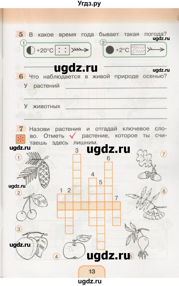 Раскрась только симметричные рисунки окружающий мир 2 класс поглазова ответы