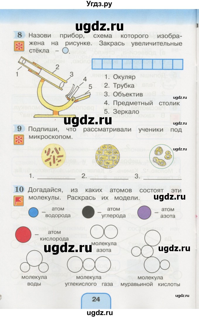 ГДЗ (Учебник) по окружающему миру 3 класс (рабочая тетрадь) О.Т. Поглазова / часть 1. страница номер / 24