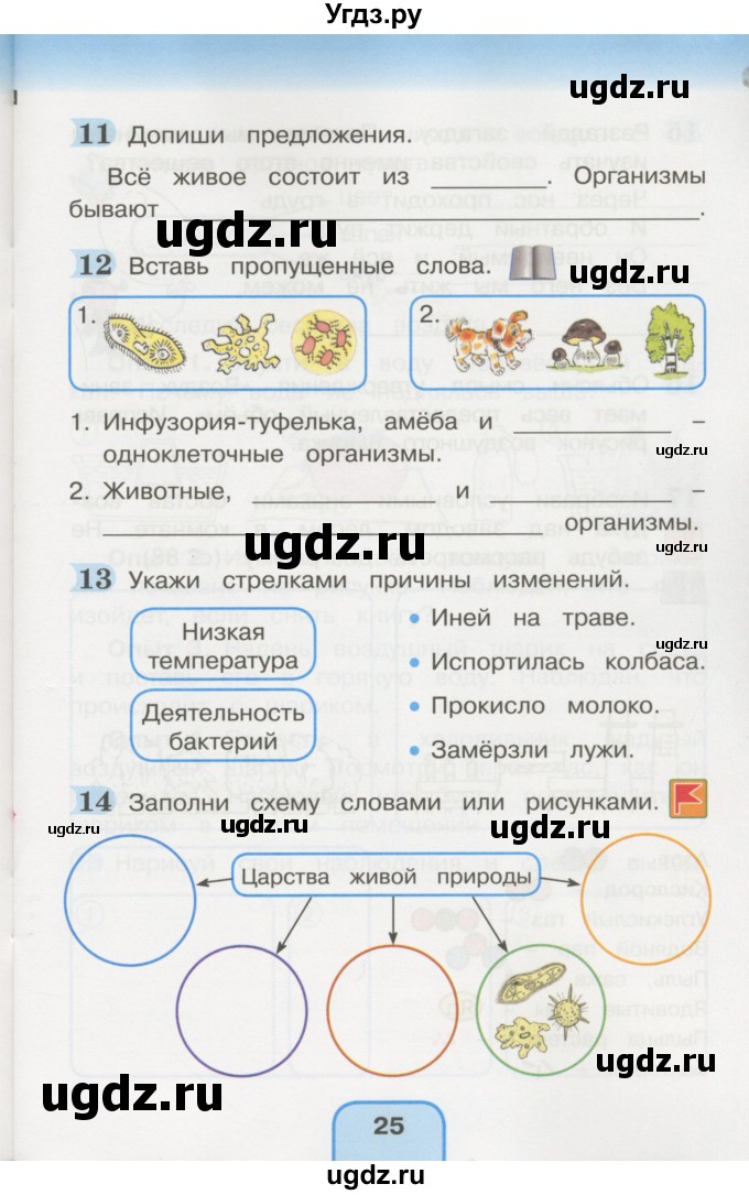 ГДЗ (Учебник) по окружающему миру 3 класс (рабочая тетрадь) О.Т. Поглазова / часть 1. страница номер / 25