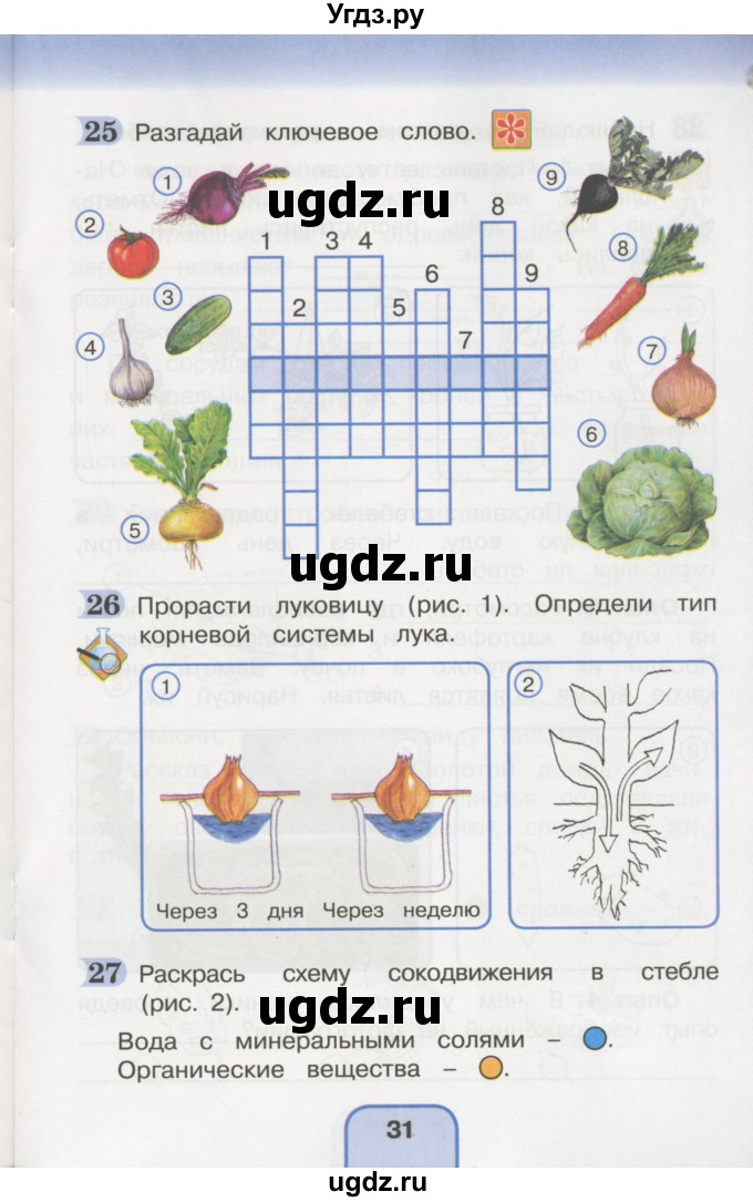 ГДЗ (Учебник) по окружающему миру 3 класс (рабочая тетрадь) О.Т. Поглазова / часть 2. страница номер / 31