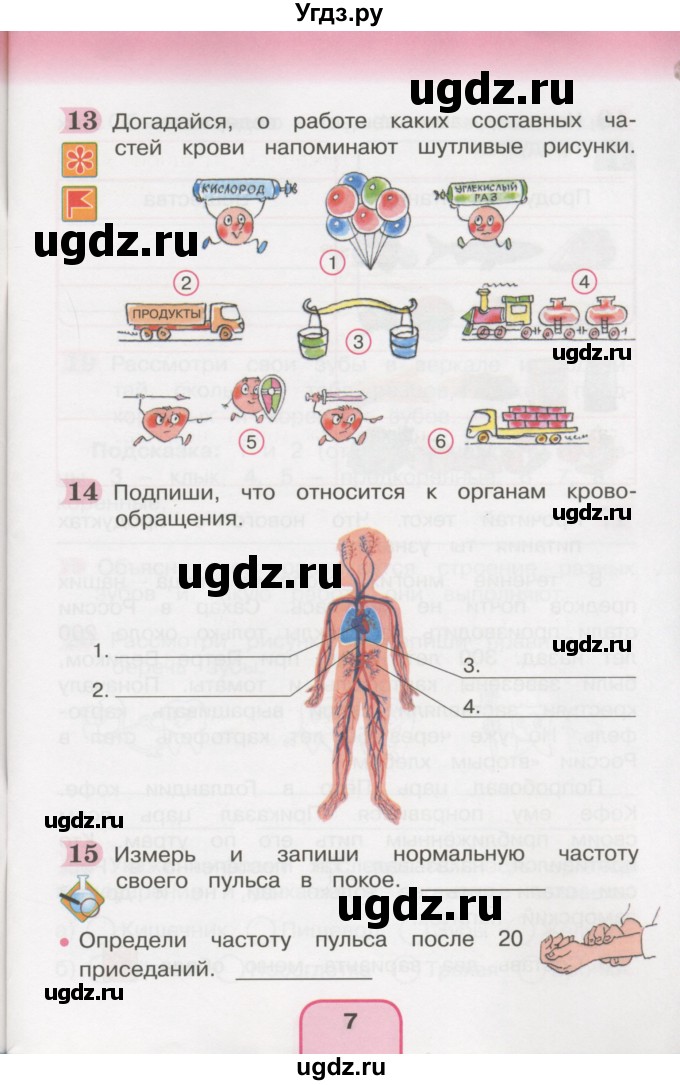 ГДЗ (Учебник) по окружающему миру 3 класс (рабочая тетрадь) О.Т. Поглазова / часть 2. страница номер / 7