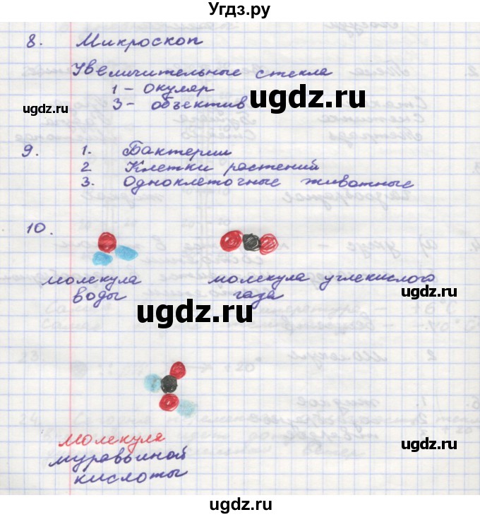 ГДЗ (Решебник) по окружающему миру 3 класс (рабочая тетрадь) О.Т. Поглазова / часть 1. страница номер / 24