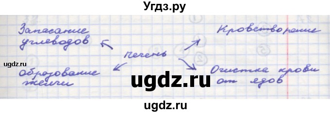 ГДЗ (Решебник) по окружающему миру 3 класс (рабочая тетрадь) О.Т. Поглазова / часть 2. страница номер / 10(продолжение 2)