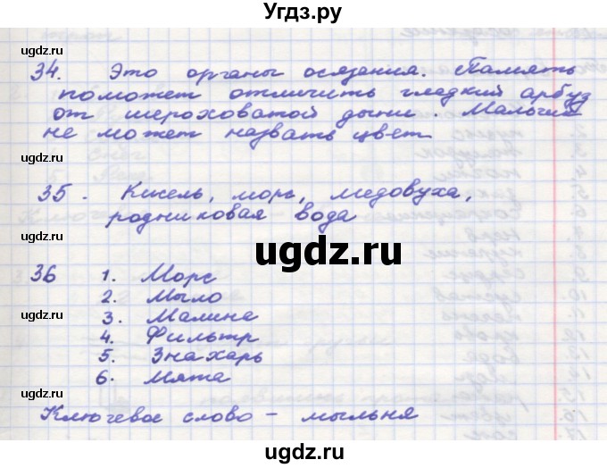 ГДЗ (Решебник) по окружающему миру 3 класс (рабочая тетрадь) О.Т. Поглазова / часть 2. страница номер / 17