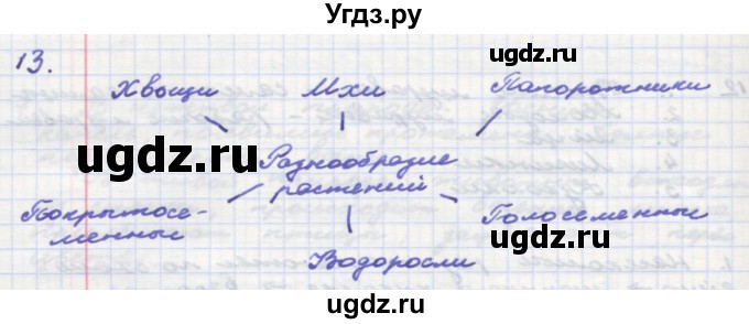 ГДЗ (Решебник) по окружающему миру 3 класс (рабочая тетрадь) О.Т. Поглазова / часть 2. страница номер / 24