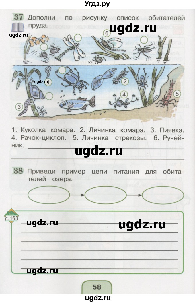 ГДЗ (Тетрадь 2016) по окружающему миру 4 класс (рабочая тетрадь) О.Т. Поглазова / часть 1. страница / 58
