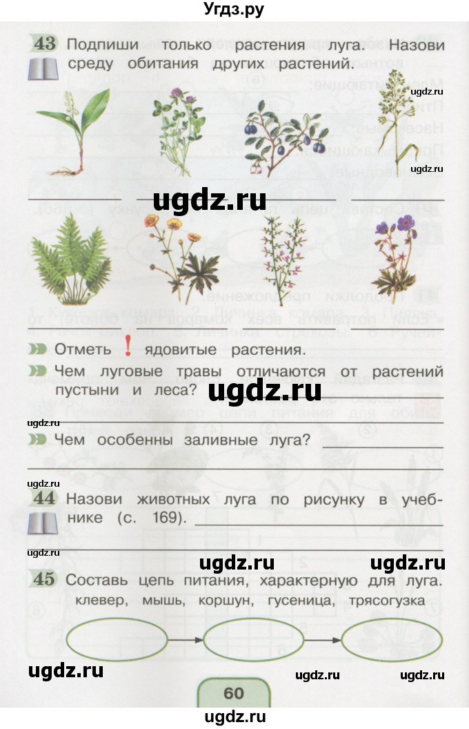 ГДЗ (Тетрадь 2016) по окружающему миру 4 класс (рабочая тетрадь) О.Т. Поглазова / часть 1. страница / 60
