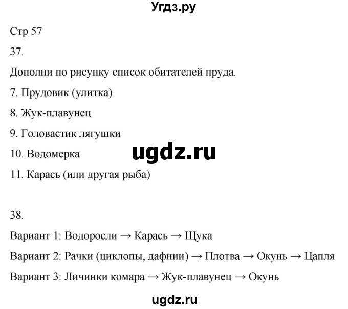 ГДЗ (Решебник 2022) по окружающему миру 4 класс (рабочая тетрадь) О.Т. Поглазова / часть 1. страница / 57