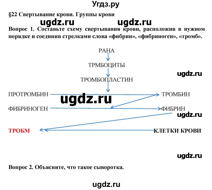 ГДЗ (Решебник) по биологии 8 класс Каменский А.А. / параграф номер / 22