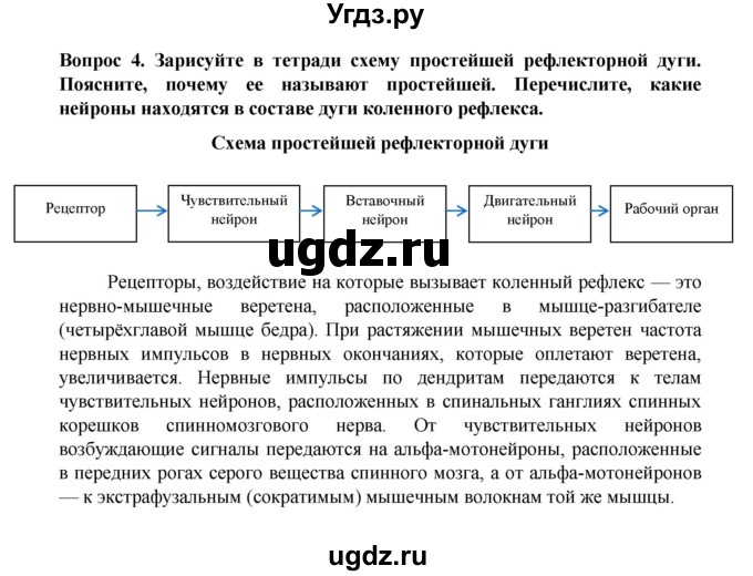 ГДЗ (Решебник) по биологии 8 класс Каменский А.А. / параграф номер / 5(продолжение 2)